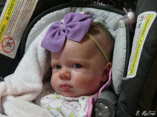 1-31-2021-Sandwich-Night-P1130464