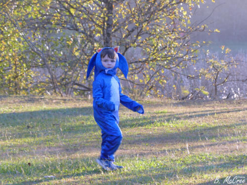 10-31-2020-Fall-Fling Movie-Night-P1110530