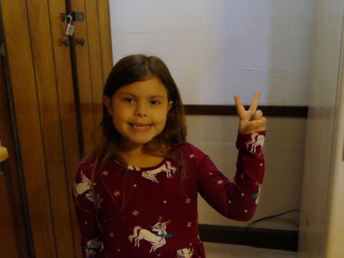 11-30-25-Sandwich-Ornament-Swap-P1020434