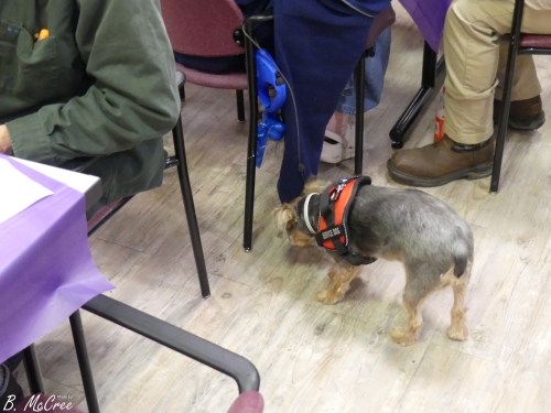 12-16-2023-Christmas-Ornament-Swap-P1280953