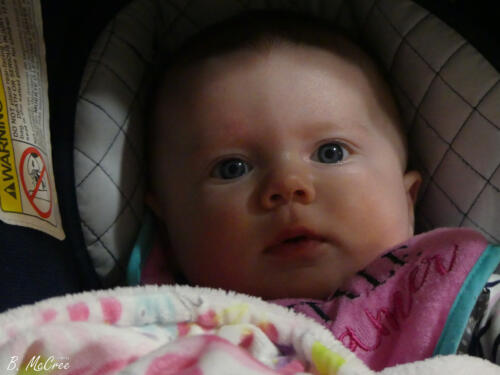 2-28-2021-Sandwich-Night-P1140148