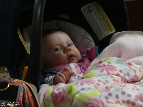 2-28-2021-Sandwich-Night-P1140306