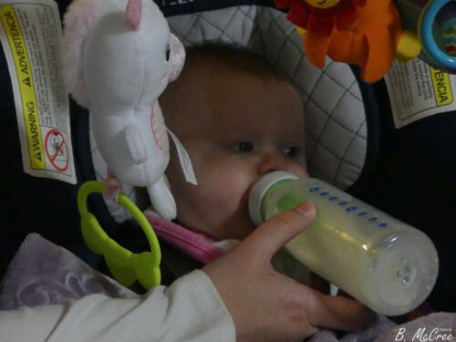 3-28-2021-Sandwich-Night-P1140569