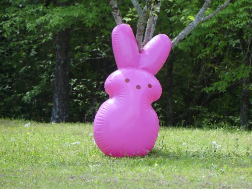 4-20-2025-Easter-Egg-Hunt-P1330555