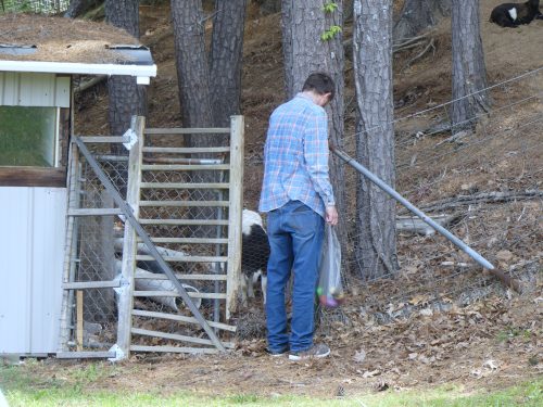 4-20-2025-Easter-Egg-Hunt-P1330658