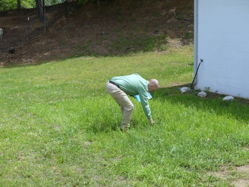 4-20-2025-Easter-Egg-Hunt-P1330687