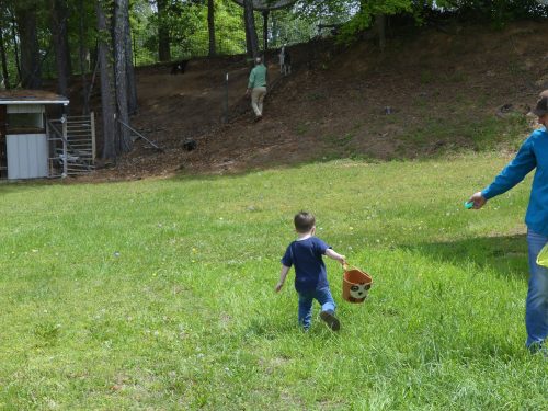 4-20-2025-Easter-Egg-Hunt-P1330714