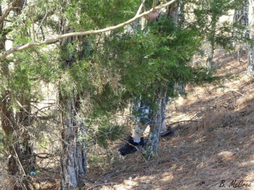 4-4-2021-Easter-Egg-Hunt-P1150336