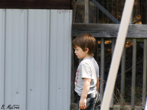 6-20-20-SHC-Benefit-for-Tommy-50865