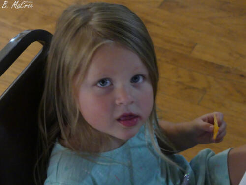 7-25-2021-Sandwich-Night-P1180172