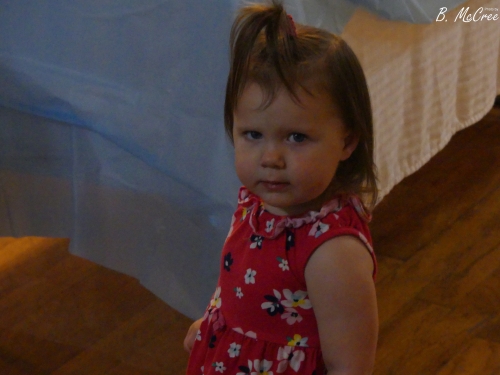 8-28-2022-Sandwich-Night-P1240602